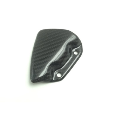 Protector lado derecho carbono BMW R1200GS / ADV R1200R