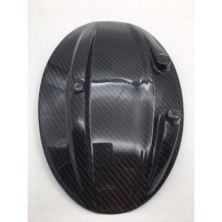 Soporte de Matricula de Carbono Diavel 2010-2018