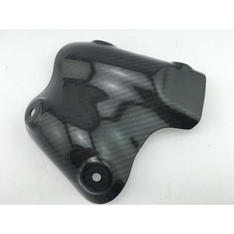 Protector Escape Carbono Hypermotard 821 939