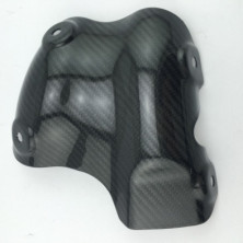 Protector Escape Carbono Hypermotard 821 939