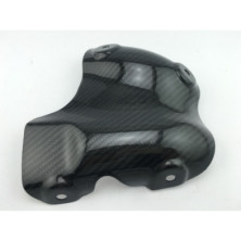 Protector Escape Carbono Hypermotard 821 939