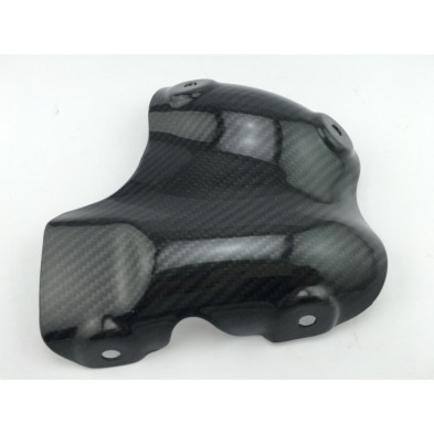 Protector Escape Carbono Hypermotard 821 939