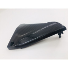 Tapas lateral de batería en carbono BMW R1200R