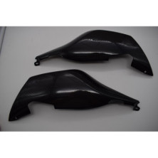 Tapas laterales traseras de Carbono BMW K1300S