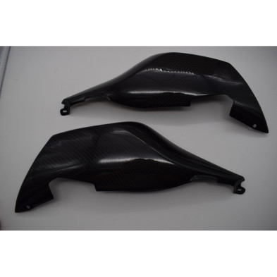 Tapas laterales traseras de Carbono BMW K1300S