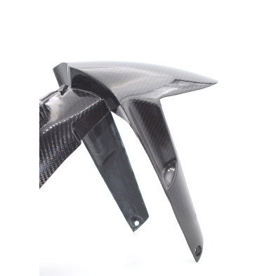Guardabarros delantero carbono BMW R1200GS  2013 - 2020