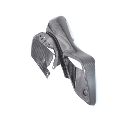 Entradas de Aire en Carbono BMW R1200GS  2013 - 2020
