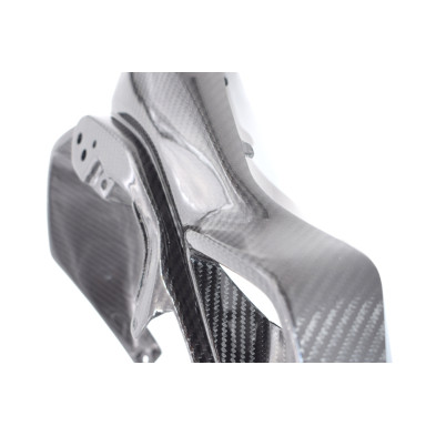 Entradas de Aire en Carbono BMW R1200GS  2013 - 2020