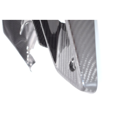 Entradas de Aire en Carbono BMW R1200GS  2013 - 2020