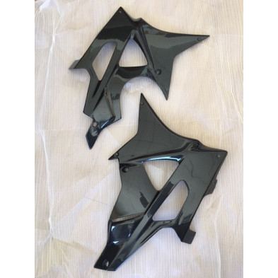 Quilla carbono BMW S1000RR