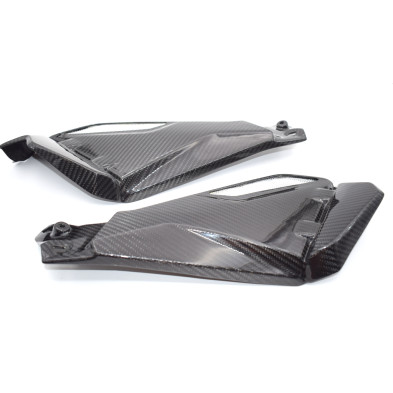Tapas Laterales en Carbono BMW R1200GS  2013 - 2020