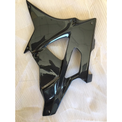 Quilla carbono BMW S1000RR