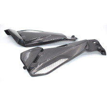 Tapas Laterales en Carbono BMW R1200GS  2013 - 2020