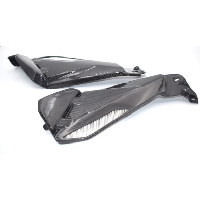 Tapas Laterales en Carbono BMW R1200GS  2013 - 2020