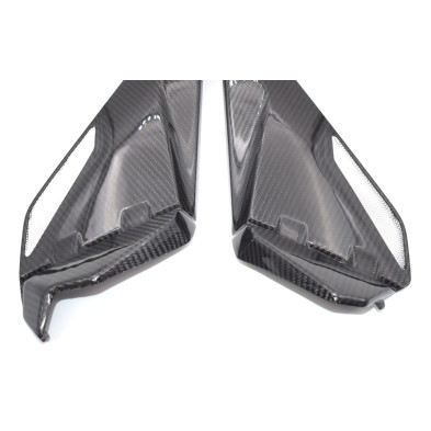 Tapas Laterales en Carbono BMW R1200GS  2013 - 2020