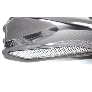 Tapas Laterales en Carbono BMW R1200GS  2013 - 2020