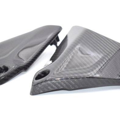 Tapas laterales en Carbono BMW R1200GS  2013 - 2020