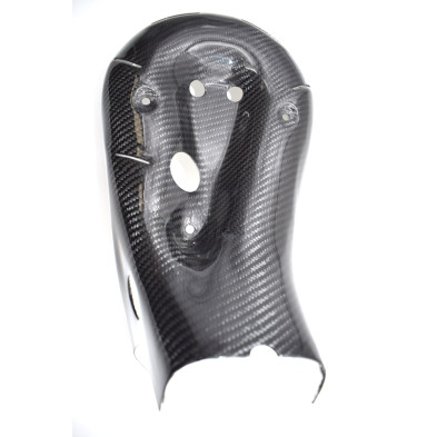 Protector de colector Panigale 1199 899 959 1299 V2