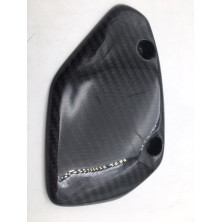 Protector de Piñón de Carbono Hypermotard 796 1100 S