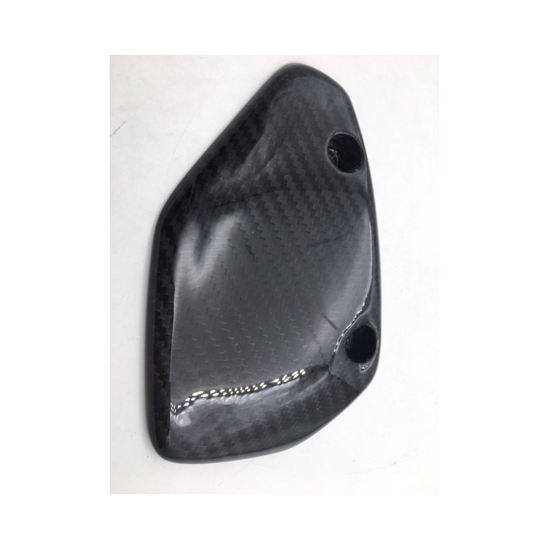 Protector de Piñón de Carbono Hypermotard 796 1100 S
