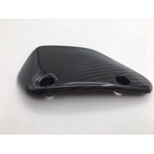Protector de Piñón de Carbono Hypermotard 796 1100 S