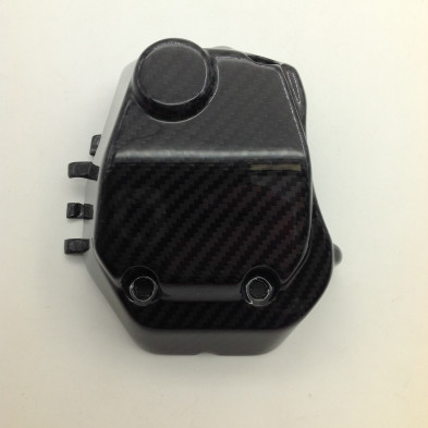 Tapa de Bomba de Carbono Hypermotard 821 939