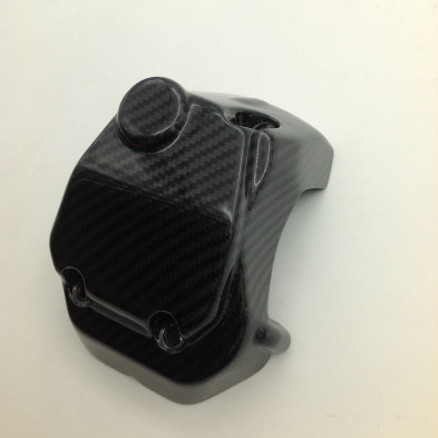 Tapa de Bomba de Carbono Hypermotard 821 939