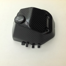 Tapa de Bomba de Carbono Hypermotard 821 939