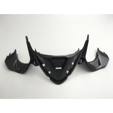 Cubierta de instrumentos de carbono Panigale 959 1199 1299