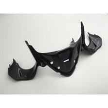 Cubierta de instrumentos de carbono Panigale 959 1199 1299