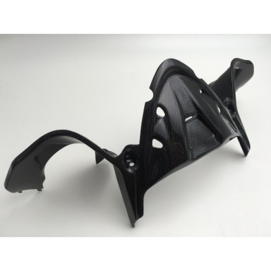Cubierta de instrumentos de carbono Panigale 959 1199 1299