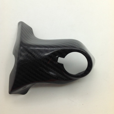 Tapa de Radiador en Carbono Monster 821 1200