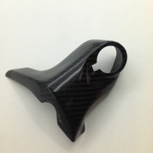 Tapa de Radiador en Carbono Monster 821 1200