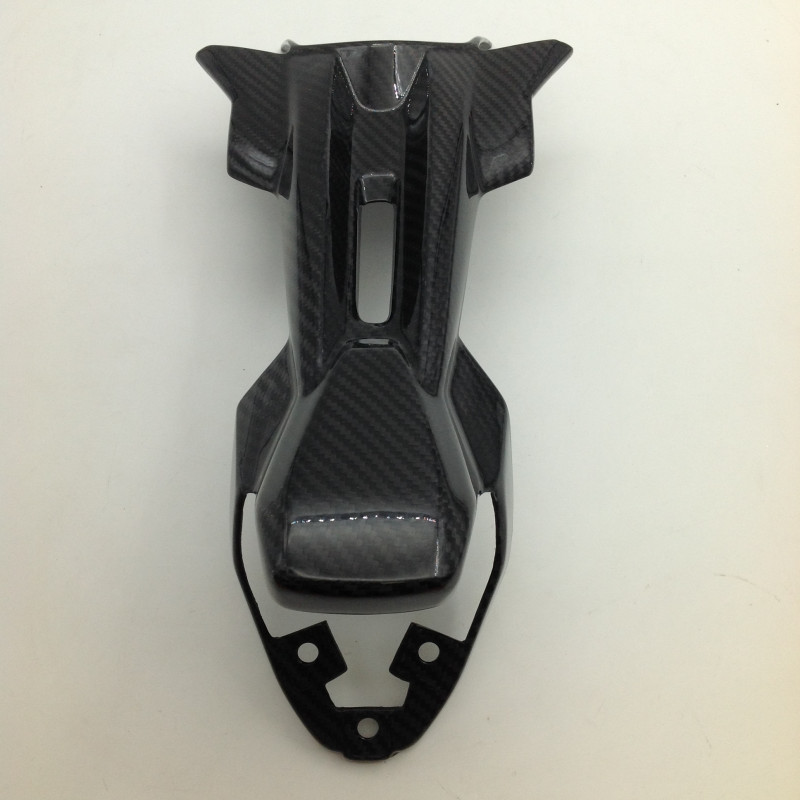 Soporte de Matricula de Carbono Monster 821 1200