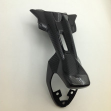 Soporte de Matricula de Carbono Monster 821 1200