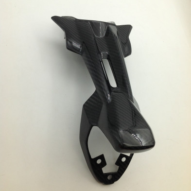 Soporte de Matricula de Carbono Monster 821 1200