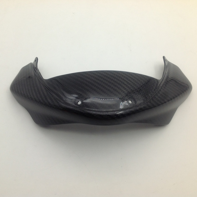 Frontal de Carbono Monster 696 1100