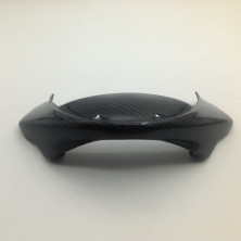 Frontal de Carbono Monster 696 1100