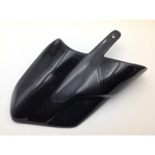 Tapa de Escape Carbono Multistrada 1200 1260 DVT 2015