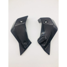 Tapas de radiador laterales de carbono BMW R1200R