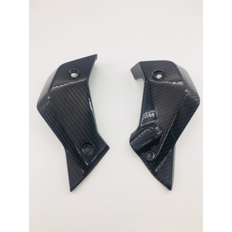 Tapas de radiador laterales de carbono BMW R1200R