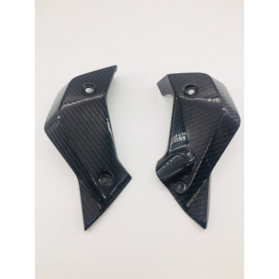 Tapas de radiador laterales de carbono BMW R1200R