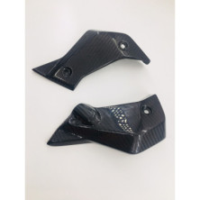 Tapas de radiador laterales de carbono BMW R1200R