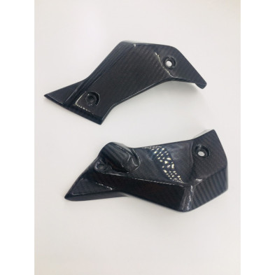 Tapas de radiador laterales de carbono BMW R1200R