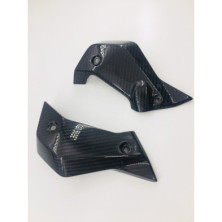 Tapas de radiador laterales de carbono BMW R1200R
