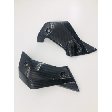 Tapas de radiador laterales de carbono BMW R1200R