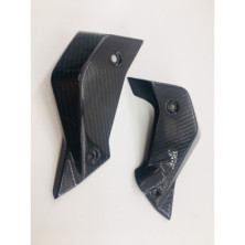 Tapas de radiador laterales de carbono BMW R1200R