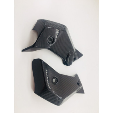 Tapas de radiador laterales de carbono BMW R1200R