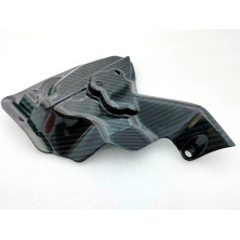 Tapa de Motor en Carbono Panigale 899 959