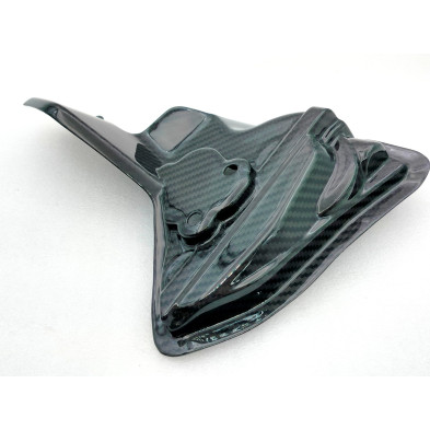 Tapa de Motor en Carbono Panigale 899 959